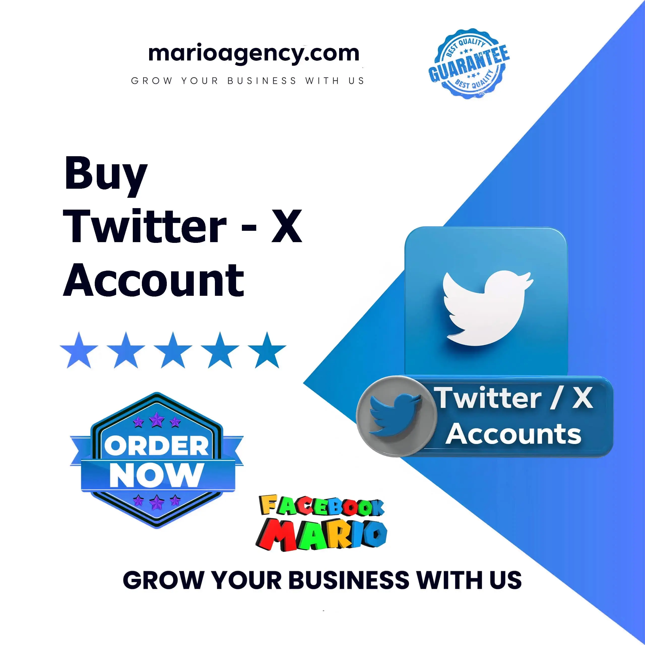 Buy Twitter Accounts from Mario Agency