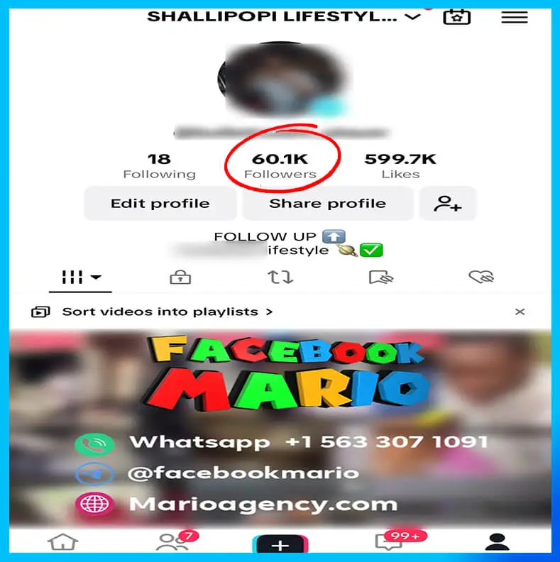 Buy TikTok Accounts with Followers