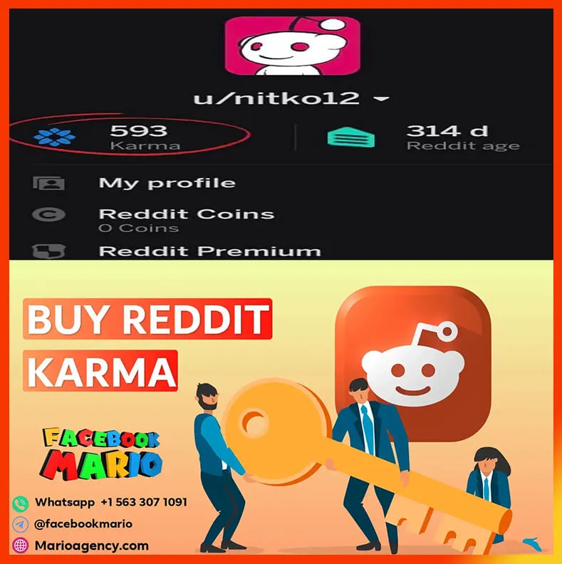 Get reddit accounts with karma