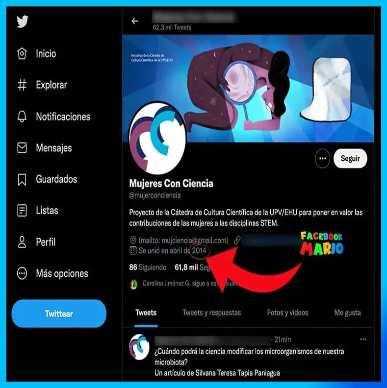 Buy Old Twitter Accounts