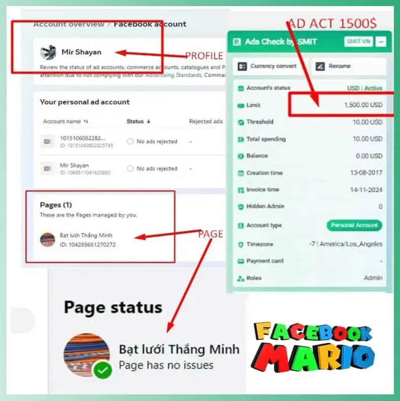 Full Ads Package with profile creation Facebook Mario