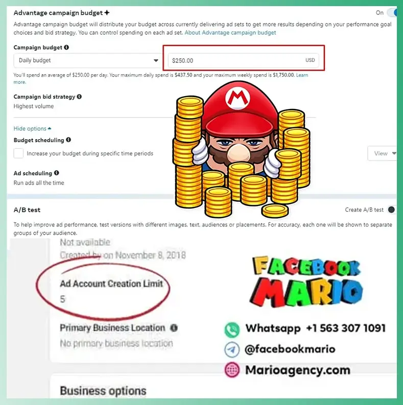 BM 5 with no limit mario agency