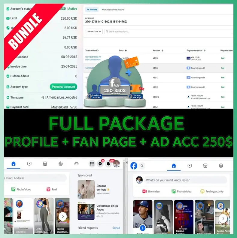Profile creation and ads full service by Facebook mario