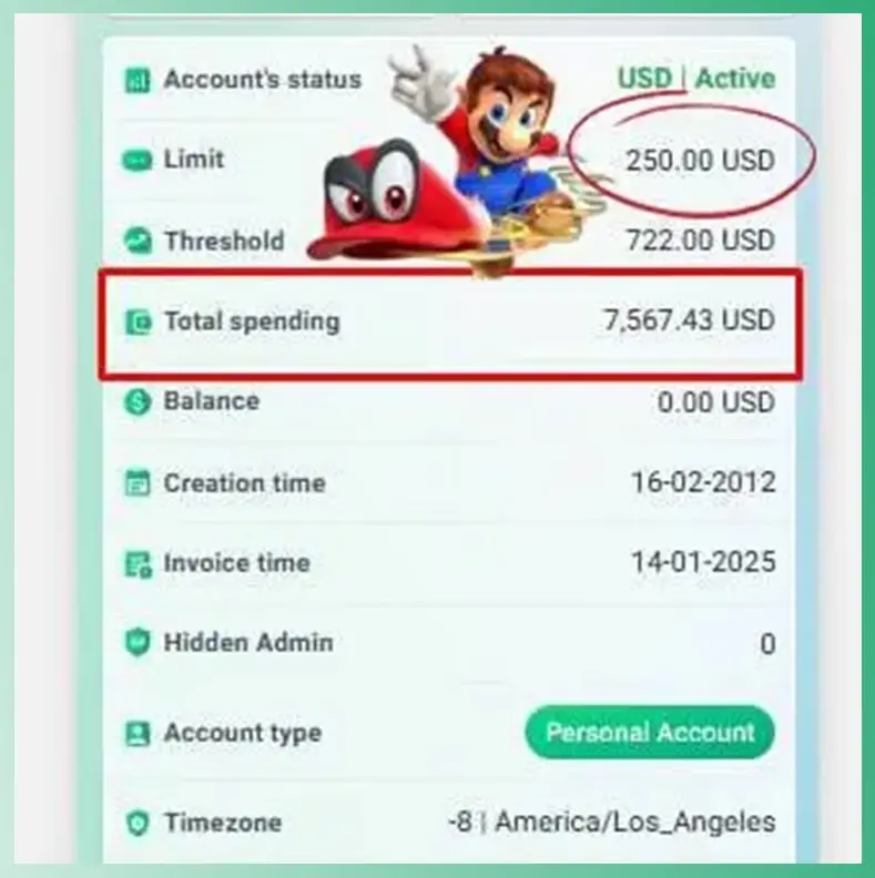 Buy Mid limit Ad Account – 250$-350$ with history from mario agency